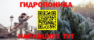 скорость Будённовск