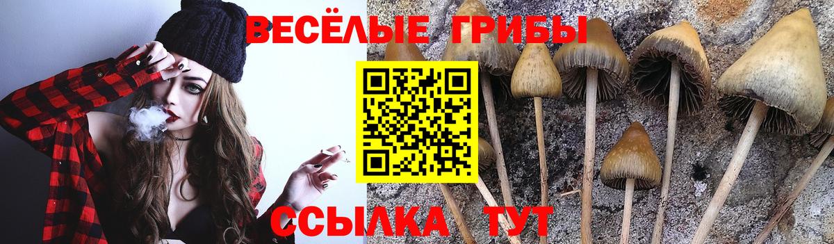 Лиски  Псилоцибиновые грибы Cubensis  Вход с VPN 